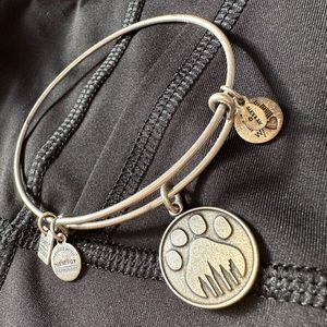 Alex and Ani Dolphin Charm Bracelet